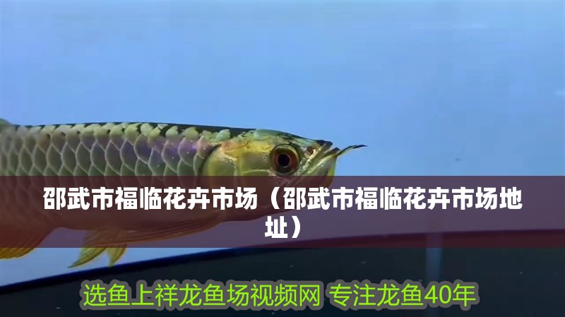 邵武市福臨花卉市場(chǎng)（邵武市福臨花卉市場(chǎng)地址）