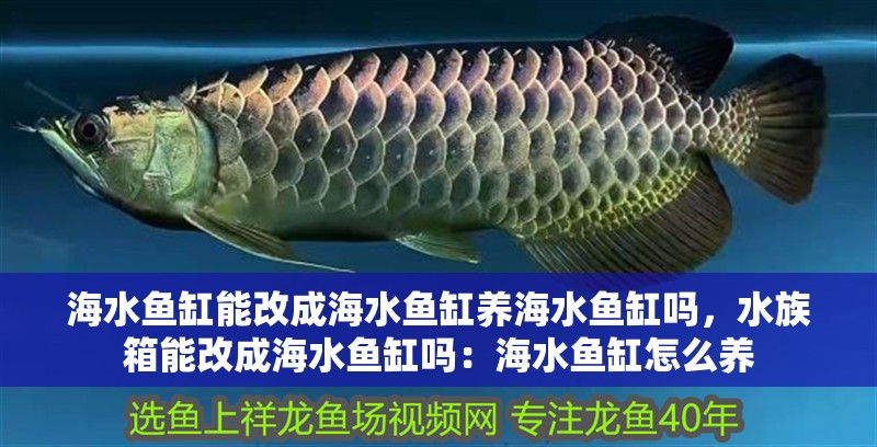 海水魚缸能改成海水魚缸養(yǎng)海水魚缸嗎，水族箱能改成海水魚缸嗎：海水魚缸怎么養(yǎng)