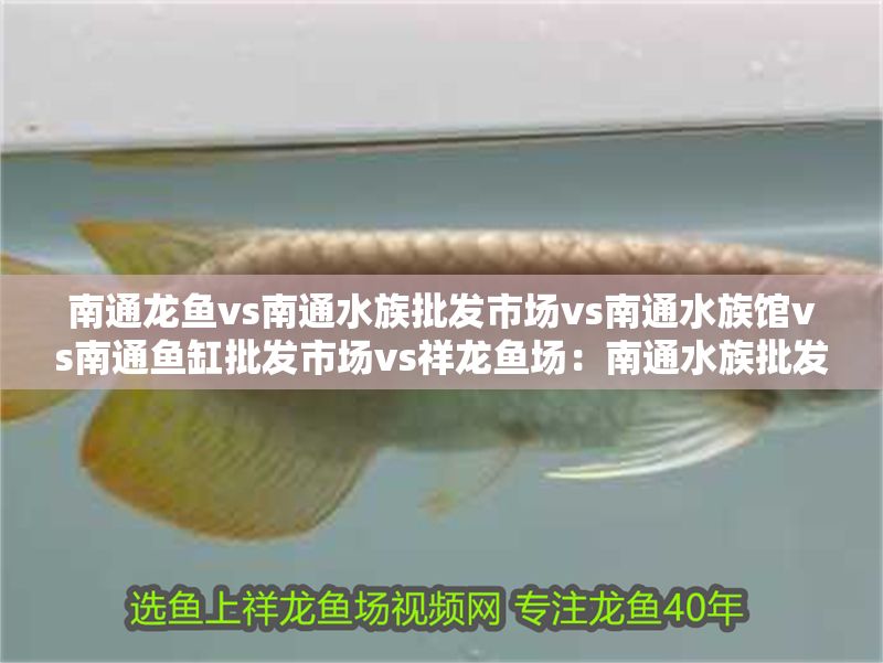 南通龍魚vs南通水族批發市場vs南通水族館vs南通魚缸批發市場vs祥龍魚場：南通水族批發市場 南通龍魚vs南通水族批發市場vs南通水族館vs南通魚缸批發市場vs祥龍魚場：南通水族批發市場 祥龍魚場各市分站 第2張