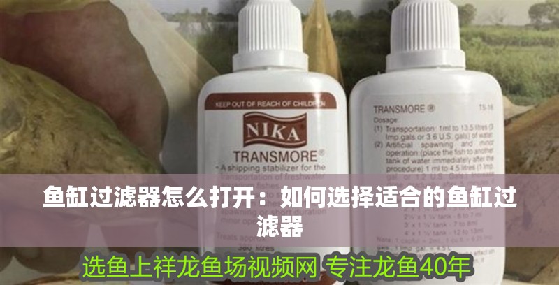 魚缸過濾器怎么打開：如何選擇適合的魚缸過濾器