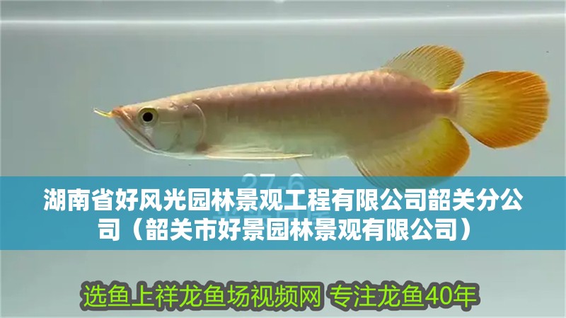 湖南省好風光園林景觀工程有限公司韶關分公司（韶關市好景園林景觀有限公司）