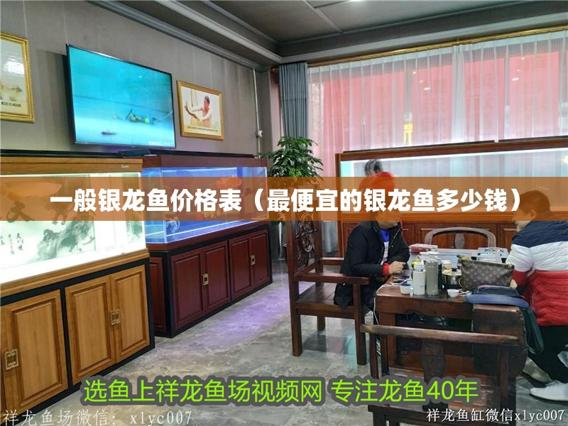 一般銀龍魚價格表（最便宜的銀龍魚多少錢）