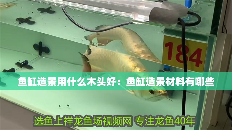 魚缸造景用什么木頭好：魚缸造景材料有哪些