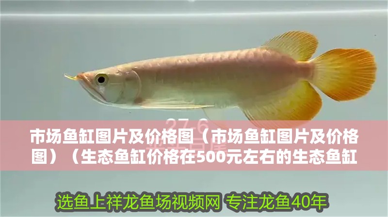 市場魚缸圖片及價格圖（市場魚缸圖片及價格圖）（生態魚缸價格在500元左右的生態魚缸價格是多少） 市場魚缸圖片及價格圖（市場魚缸圖片及價格圖）（生態魚缸價格在500元左右的生態魚缸價格是多少） 魚缸百科