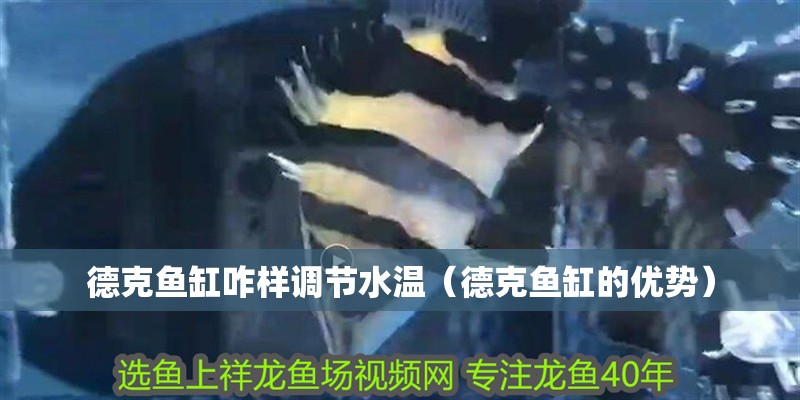 德克魚缸咋樣調節水溫（德克魚缸的優勢）