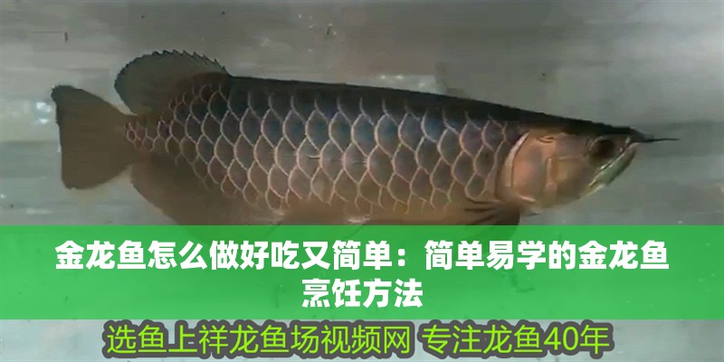金龍魚怎么做好吃又簡單：簡單易學的金龍魚烹飪方法