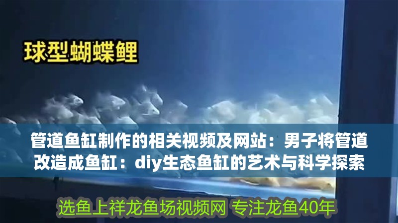 管道魚缸制作的相關(guān)視頻及網(wǎng)站：男子將管道改造成魚缸：diy生態(tài)魚缸的藝術(shù)與科學(xué)探索