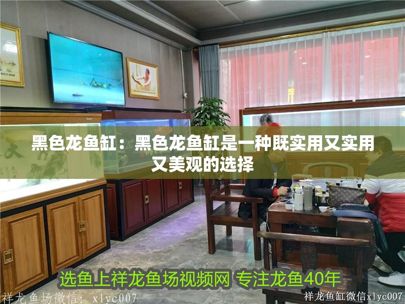 黑色龍魚缸：黑色龍魚缸是一種既實用又實用又美觀的選擇