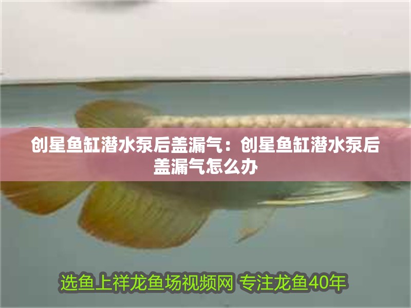 創星魚缸潛水泵后蓋漏氣：創星魚缸潛水泵后蓋漏氣怎么辦