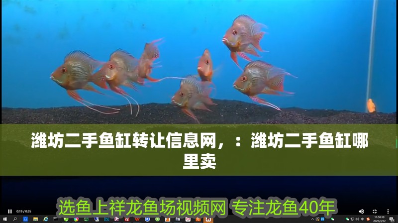 濰坊二手魚缸轉讓信息網，：濰坊二手魚缸哪里賣