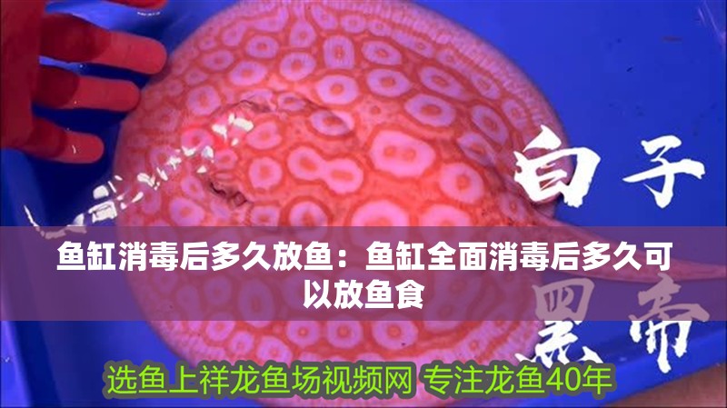 魚缸消毒后多久放魚：魚缸全面消毒后多久可以放魚食