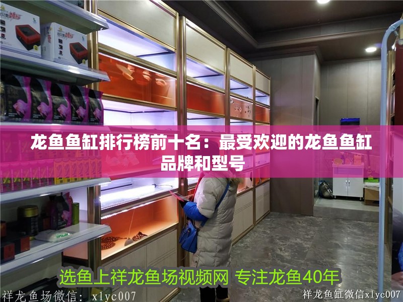 龍魚魚缸排行榜前十名：最受歡迎的龍魚魚缸品牌和型號