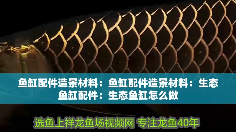 魚缸配件造景材料：魚缸配件造景材料：生態魚缸配件：生態魚缸怎么做