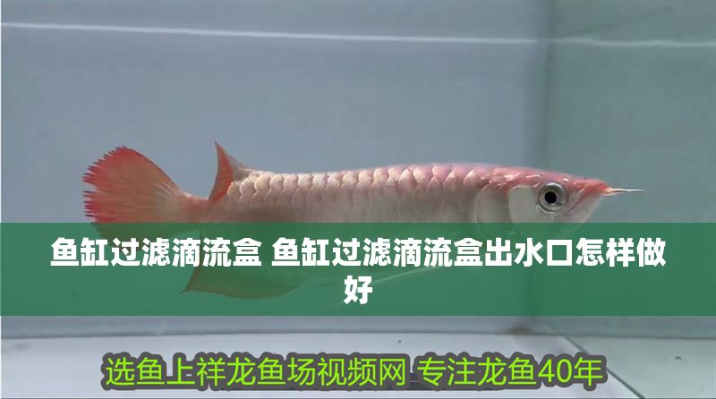魚缸過濾滴流盒 魚缸過濾滴流盒出水口怎樣做好