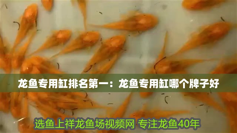 龍魚專用缸排名第一：龍魚專用缸哪個牌子好