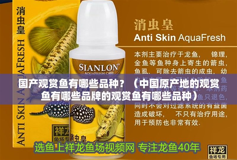 國產觀賞魚有哪些品種？（中國原產地的觀賞魚有哪些品牌的觀賞魚有哪些品種） 國產觀賞魚有哪些品種？（中國原產地的觀賞魚有哪些品牌的觀賞魚有哪些品種） 元寶鳳凰魚百科 第1張