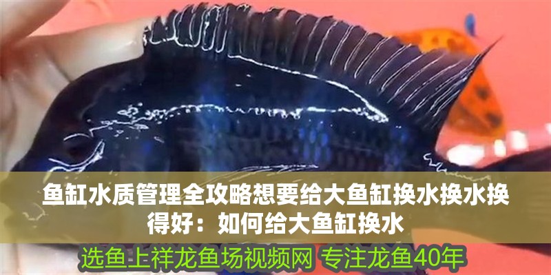 魚(yú)缸水質(zhì)管理全攻略想要給大魚(yú)缸換水換水換得好：如何給大魚(yú)缸換水 魚(yú)缸水質(zhì)管理全攻略想要給大魚(yú)缸換水換水換得好：如何給大魚(yú)缸換水 魚(yú)缸百科