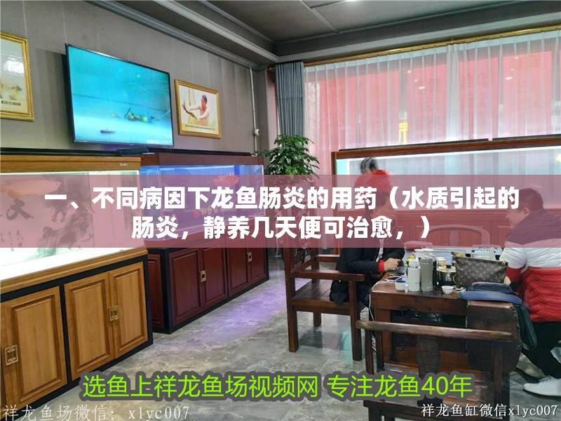 一、不同病因下龍魚腸炎的用藥（水質引起的腸炎，靜養幾天便可治愈，）
