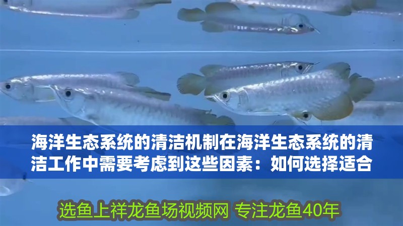 魚缸用增氧泵價格是多少:魚缸增氧機-xtrac增氧機-xtrac增氧機 海洋生態系統的清潔機制在海洋生態系統的清潔工作中需要考慮到這些因素:如何選擇適合的清潔魚缸 魚缸百科 海洋生態系統的清潔機制在海洋生態系統的清潔工作中需要考慮到這些因素:如何選擇適合的清潔魚缸 海洋生態系統的清潔機制在海洋生態系統的清潔工作中需要考慮到這些因素:如何選擇適合的清潔魚缸 魚缸百科