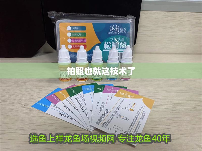 拍照也就這技術了 拍照也就這技術了 錦鯉魚百科 第4張