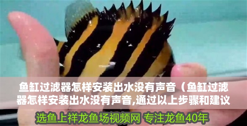 魚(yú)缸過(guò)濾器怎樣安裝出水沒(méi)有聲音（魚(yú)缸過(guò)濾器怎樣安裝出水沒(méi)有聲音,通過(guò)以上步驟和建議）