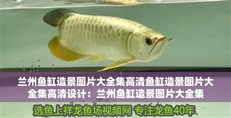 蘭州魚(yú)缸造景圖片大全集高清魚(yú)缸造景圖片大全集高清設(shè)計(jì)：蘭州魚(yú)缸造景圖片大全集