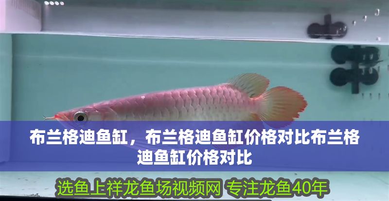 布蘭格迪魚缸，布蘭格迪魚缸價格對比布蘭格迪魚缸價格對比