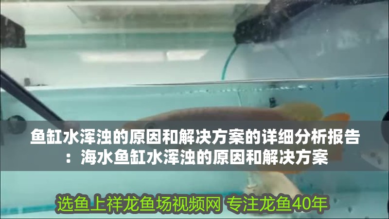 魚缸水渾濁的原因和解決方案的詳細分析報告：海水魚缸水渾濁的原因和解決方案 魚缸水渾濁的原因和解決方案的詳細分析報告：海水魚缸水渾濁的原因和解決方案 魚缸百科