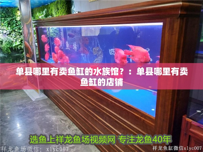單縣哪里有賣魚缸的水族館？：單縣哪里有賣魚缸的店鋪 單縣哪里有賣魚缸的水族館？：單縣哪里有賣魚缸的店鋪 魚缸百科