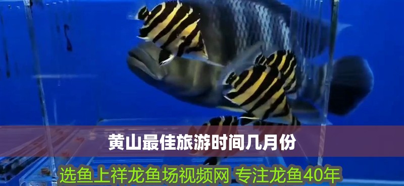 黃山最佳旅游時間幾月份