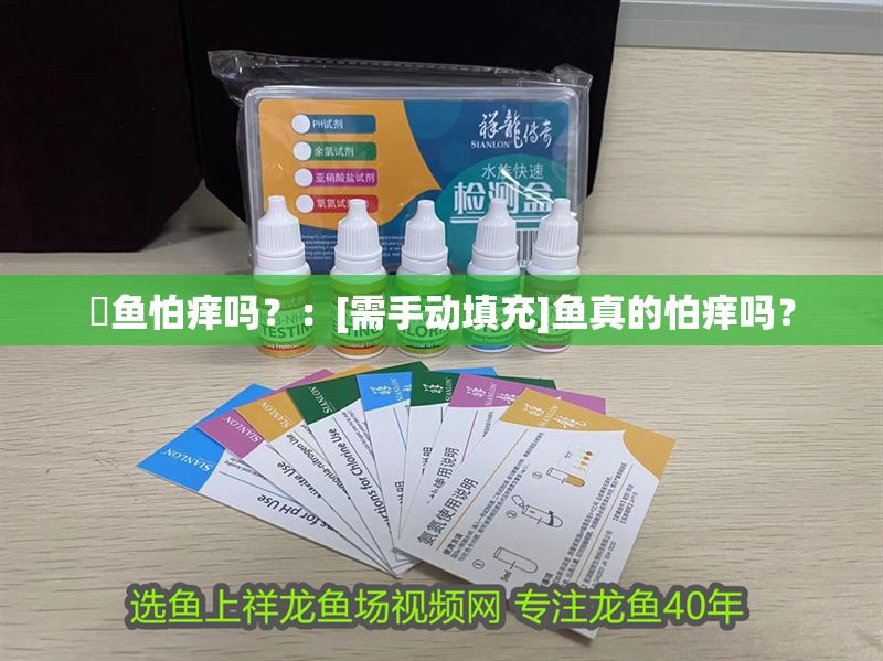 魟魚(yú)怕癢嗎？：[需手動(dòng)填充]魚(yú)真的怕癢嗎？