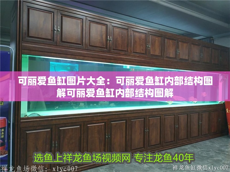 可麗愛魚缸圖片大全：可麗愛魚缸內(nèi)部結(jié)構(gòu)圖解可麗愛魚缸內(nèi)部結(jié)構(gòu)圖解 可麗愛魚缸圖片大全：可麗愛魚缸內(nèi)部結(jié)構(gòu)圖解可麗愛魚缸內(nèi)部結(jié)構(gòu)圖解 魚缸百科
