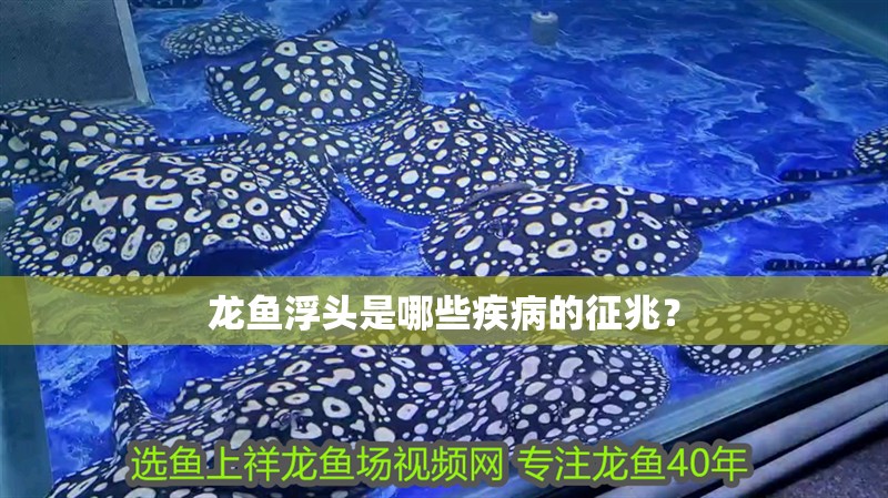 龍魚浮頭是哪些疾病的征兆？