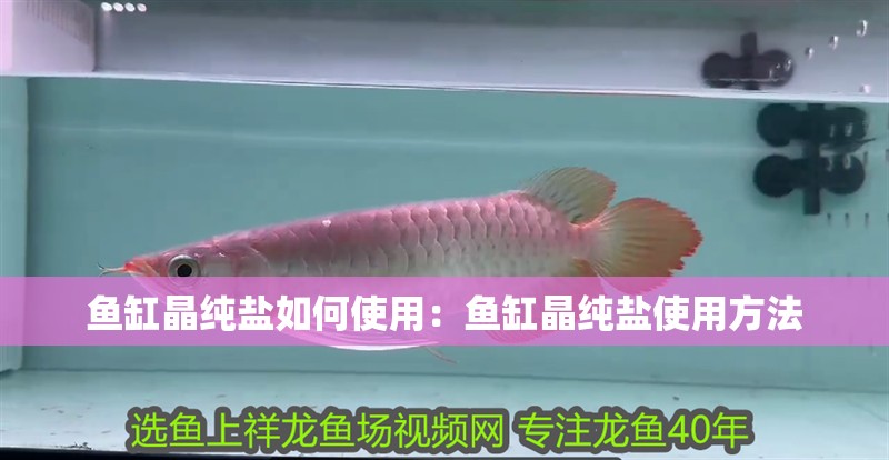 魚缸用增氧泵價格是多少:魚缸增氧機-xtrac增氧機-xtrac增氧機 魚缸晶純鹽如何使用:魚缸晶純鹽使用方法 魚缸百科 魚缸晶純鹽如何使用:魚缸晶純鹽使用方法 魚缸晶純鹽如何使用:魚缸晶純鹽使用方法 魚缸百科