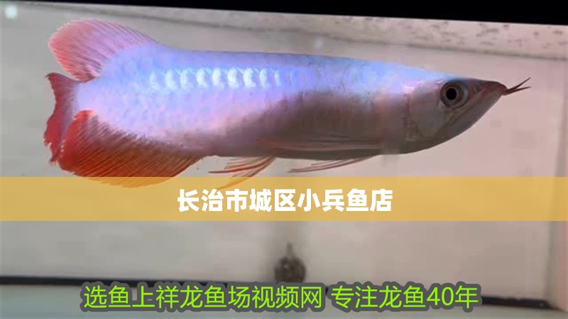 長治市城區(qū)小兵魚店