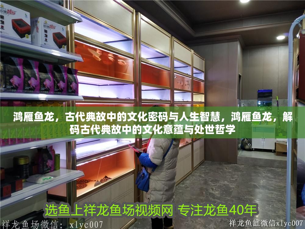 鴻雁魚龍，古代典故中的文化密碼與人生智慧，鴻雁魚龍，解碼古代典故中的文化意蘊與處世哲學