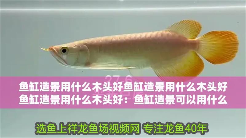 魚(yú)缸造景用什么木頭好魚(yú)缸造景用什么木頭好魚(yú)缸造景用什么木頭好：魚(yú)缸造景可以用什么木頭