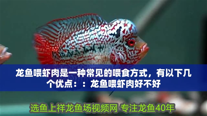 龍魚喂蝦肉是一種常見的喂食方式，有以下幾個(gè)優(yōu)點(diǎn)：：龍魚喂蝦肉好不好