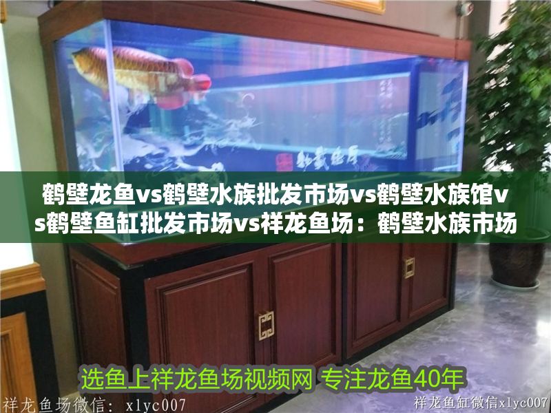 鶴壁龍魚vs鶴壁水族批發(fā)市場(chǎng)vs鶴壁水族館vs鶴壁魚缸批發(fā)市場(chǎng)vs祥龍魚場(chǎng)：鶴壁水族市場(chǎng)最新動(dòng)態(tài)