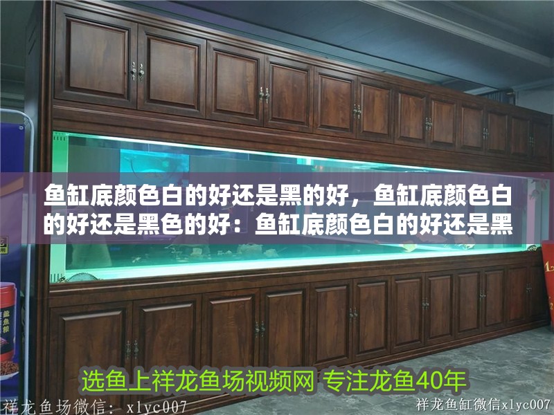 魚缸底顏色白的好還是黑的好，魚缸底顏色白的好還是黑色的好：魚缸底顏色白的好還是黑的好