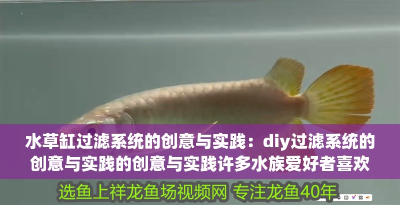 水草缸過濾系統的創意與實踐：diy過濾系統的創意與實踐的創意與實踐許多水族愛好者喜歡