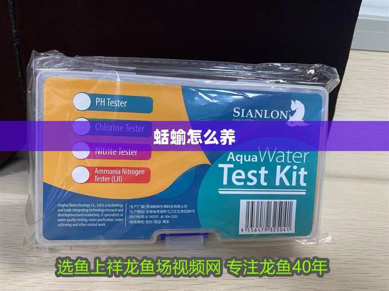 蛞蝓怎么養(yǎng)