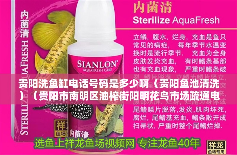 貴陽洗魚缸電話號碼是多少啊（貴陽魚池清洗）（貴陽市南明區油榨街陽明花鳥市場疏通電話號碼是多少）