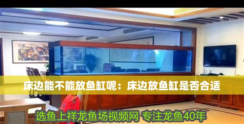 床邊能不能放魚缸呢：床邊放魚缸是否合適