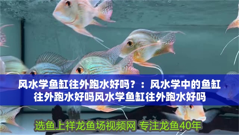 風水學魚缸往外跑水好嗎？：風水學中的魚缸往外跑水好嗎風水學魚缸往外跑水好嗎 風水學魚缸往外跑水好嗎？：風水學中的魚缸往外跑水好嗎風水學魚缸往外跑水好嗎 魚缸百科