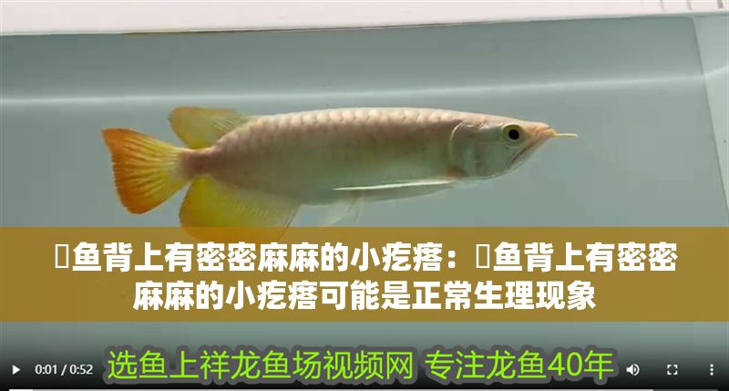 魟魚背上有密密麻麻的小疙瘩：魟魚背上有密密麻麻的小疙瘩可能是正常生理現象