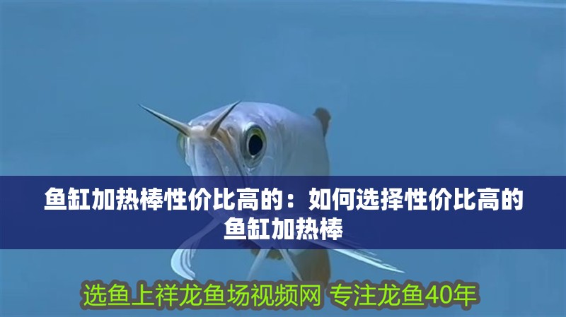 魚缸加熱棒性價(jià)比高的：如何選擇性價(jià)比高的魚缸加熱棒 魚缸加熱棒性價(jià)比高的：如何選擇性價(jià)比高的魚缸加熱棒 魚缸百科