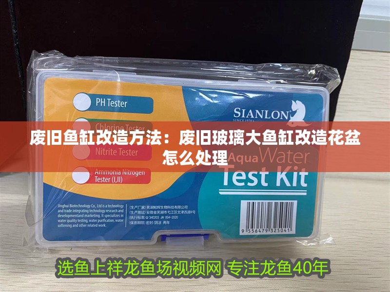 廢舊魚缸改造方法：廢舊玻璃大魚缸改造花盆怎么處理 廢舊魚缸改造方法：廢舊玻璃大魚缸改造花盆怎么處理 魚缸百科