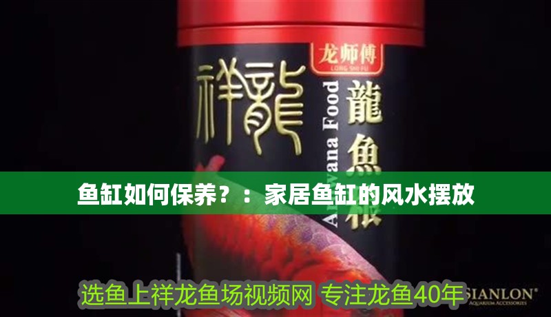 魚缸如何保養？：家居魚缸的風水擺放