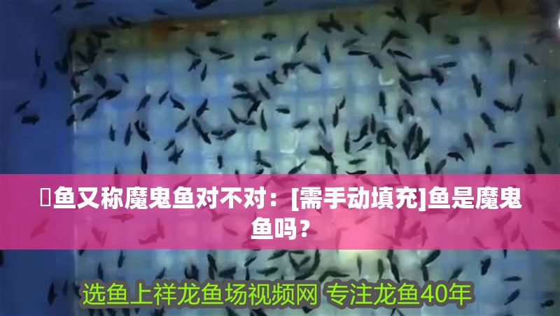 魟魚又稱魔鬼魚對不對：[需手動填充]魚是魔鬼魚嗎？